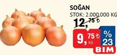 SOĞAN KG fiyat ve kampanya bilgisi